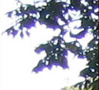 Stock photography mistakes - Artifacts Jpg Compression Mistake